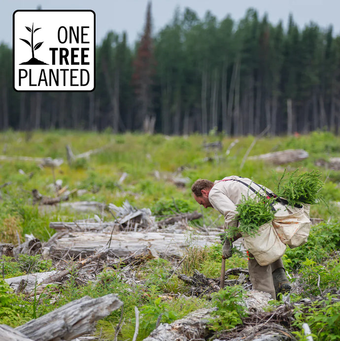Xplora har doneret over 30.000 Træer via one tree planted. En non profit organization med fokus på at hjælpe skove med at vokse.