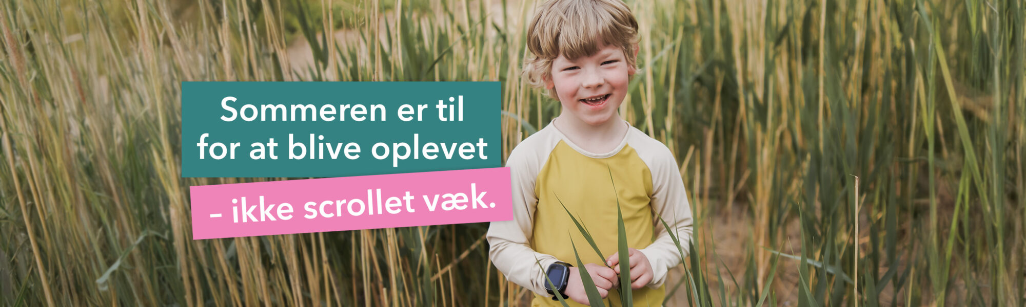 Web banner Summer B2S Nordics DK 02